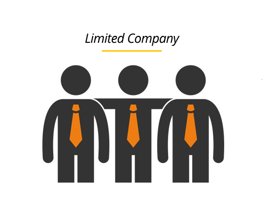 public-limited-company
